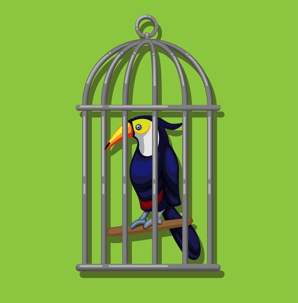 Toucan in birdcage. Toucan family Ramphastidae exotic bird from american tropical forest illustration in cartoon vector