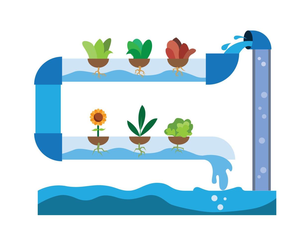 hydroponic modern farm infographic illustration vector design