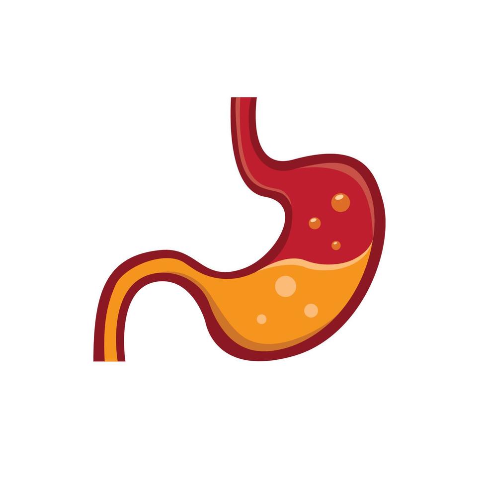 stomach human organ icon flat illustration vector