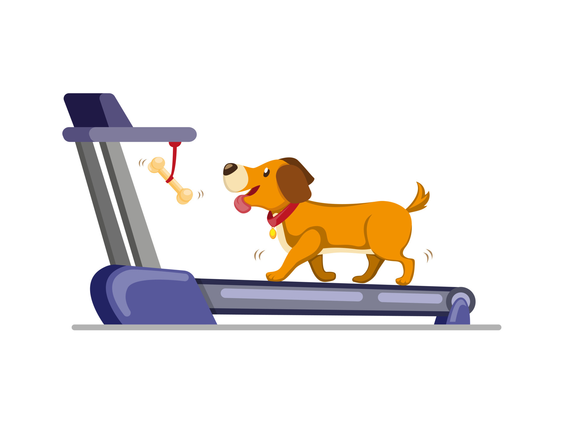 How Long Should A Dog Walk On A Treadmill