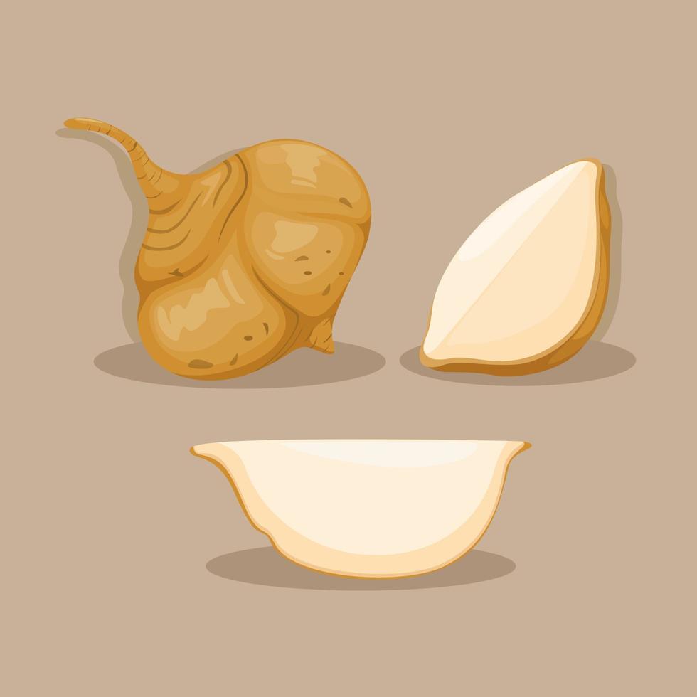 Jicama root vegetable object set illustration vector