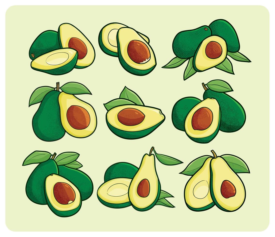 Avocado set in simple cartoon style vector