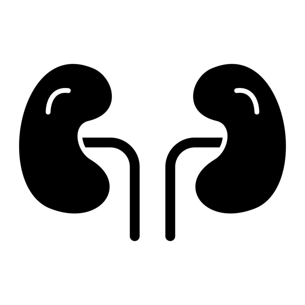 Kidney Glyph Icon vector