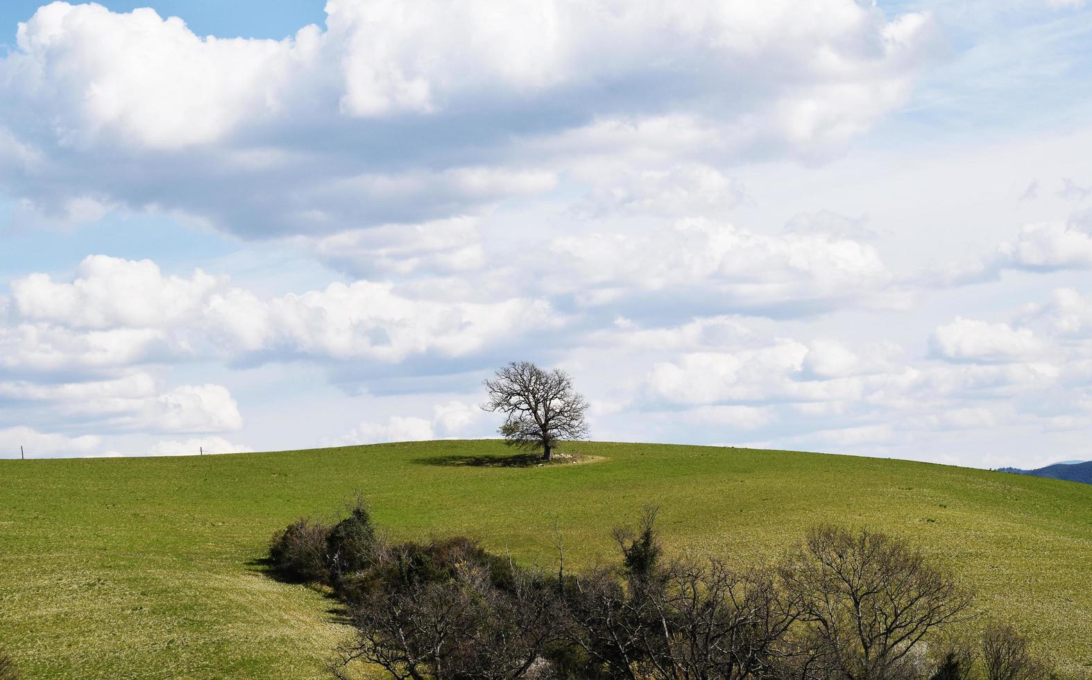 A tuscanian Landscape photo