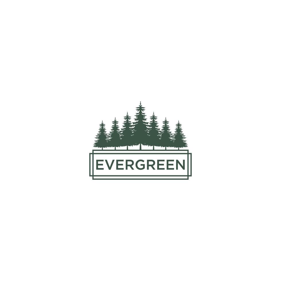 logotipo de hoja perenne con ilustración de árbol exuberante vector