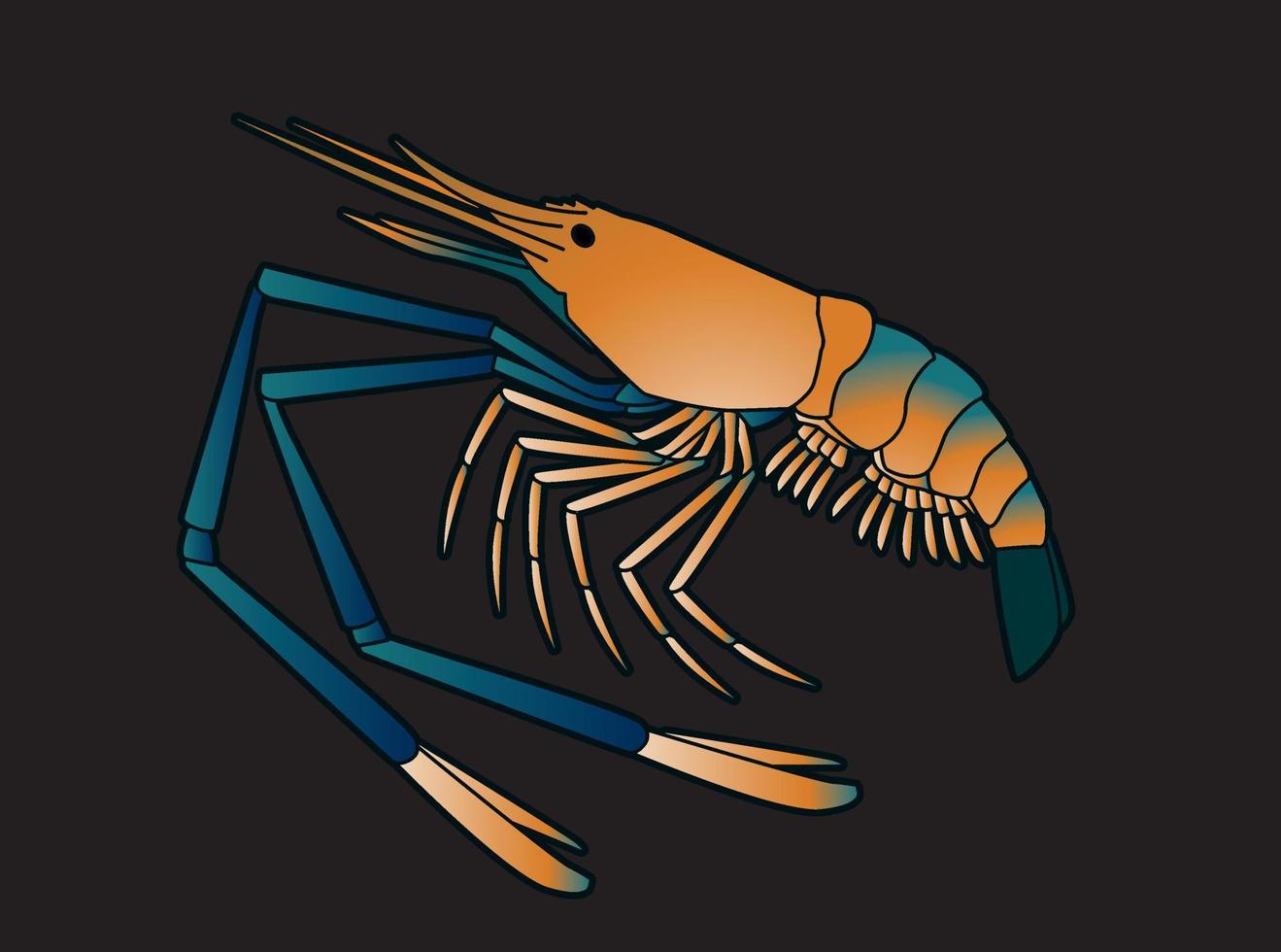 Giant Freshwater Prawn Shrim vector