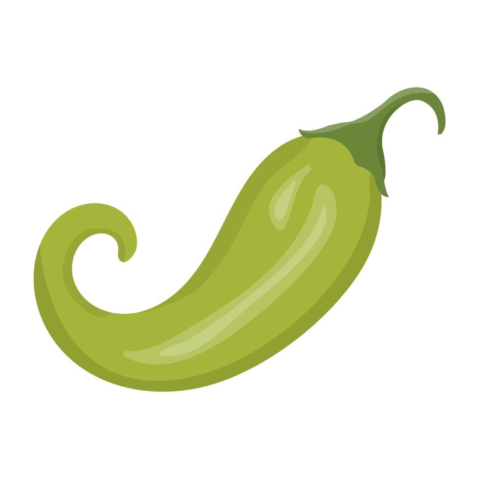 Green Chili Concepts vector