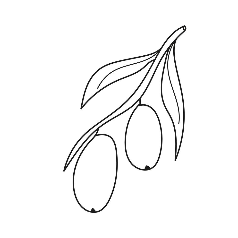 Simple coloring page. Coloring book for children with olives vector