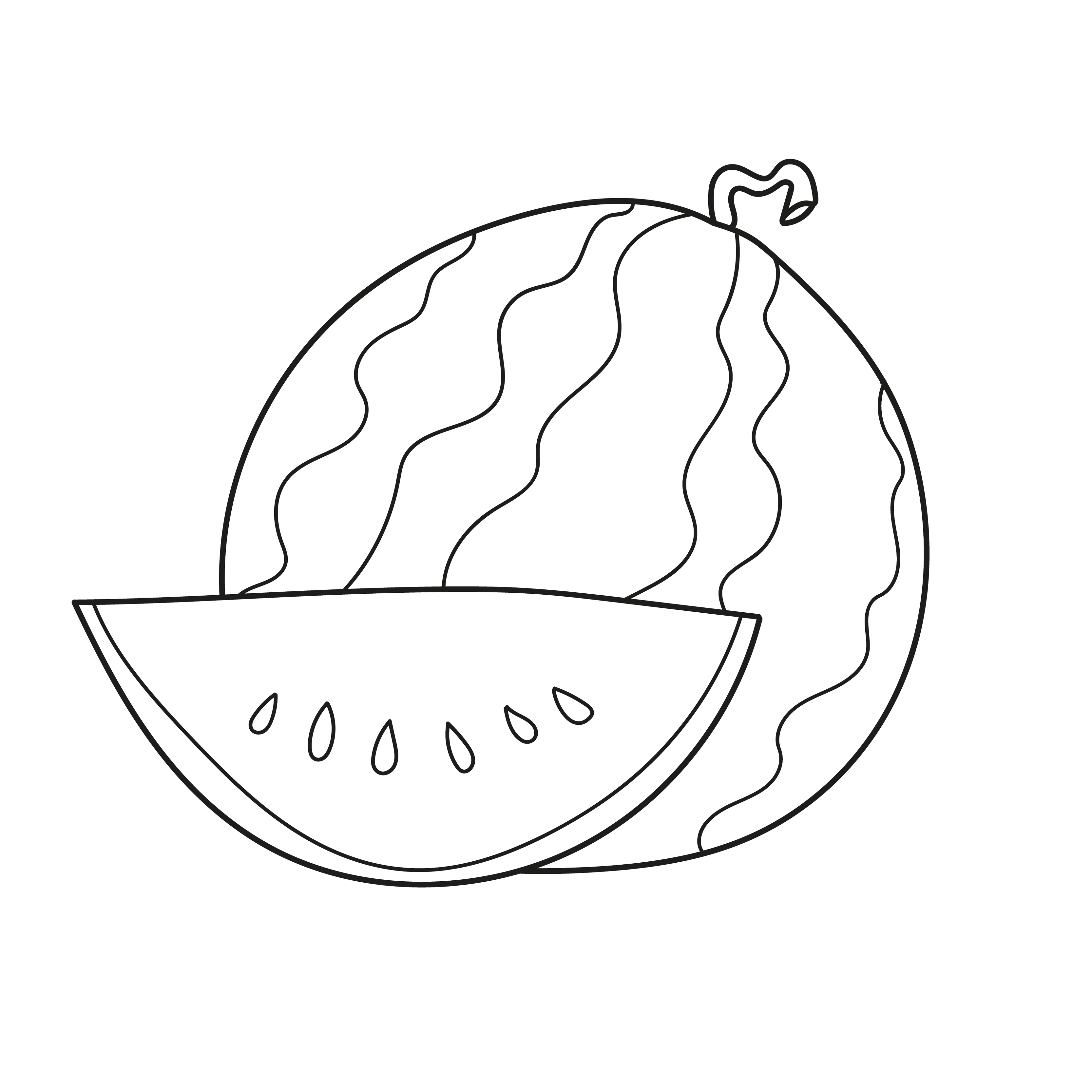 Simple coloring page. Isolated black and white watermelon for coloring