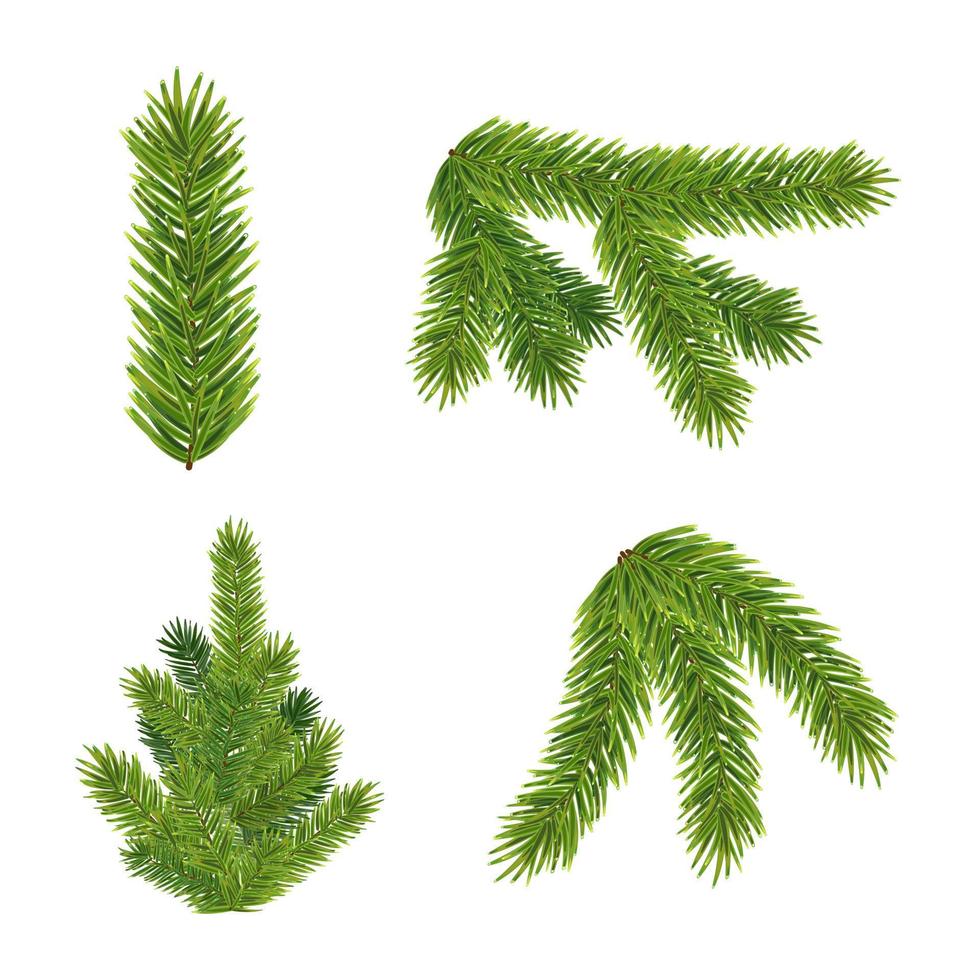 Realistic christmas tree and fluffy green pine tree branch vector