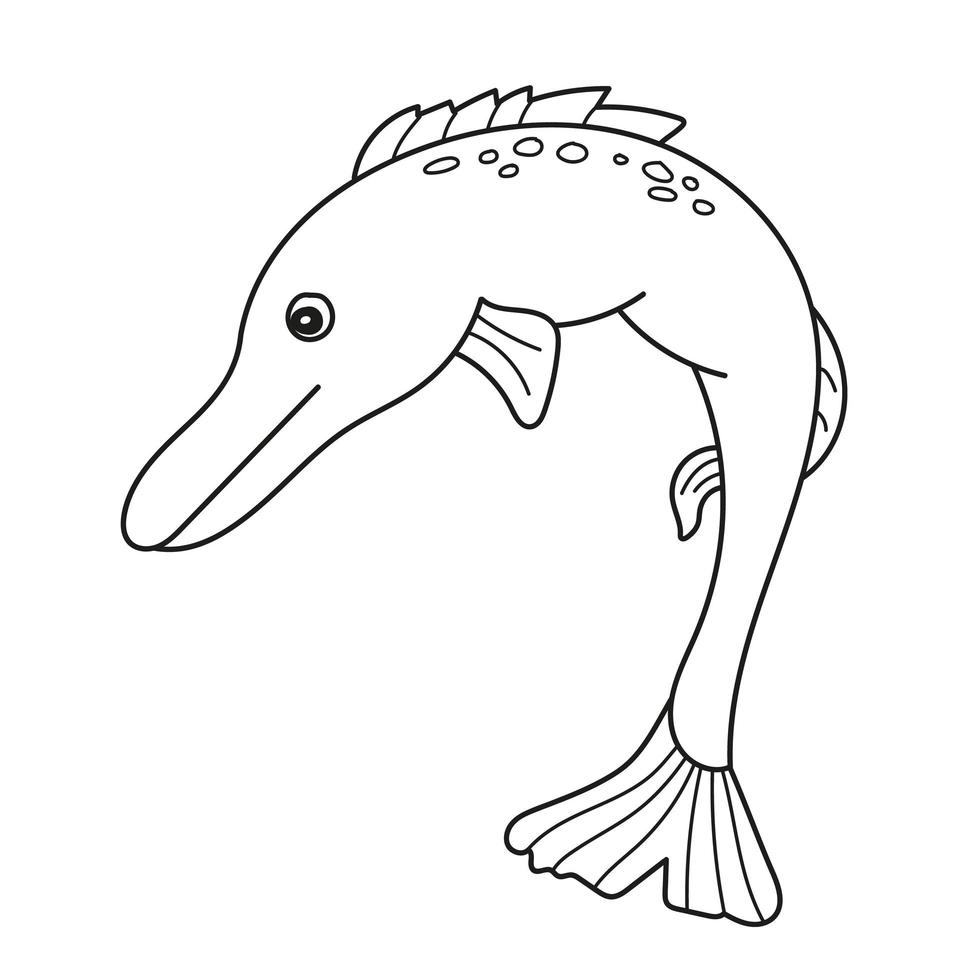 Simple coloring page. Stylized pike a long-bodied predatory freshwater fish vector