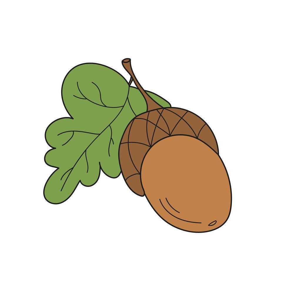 Simple cartoon icon. Brown acorn and leaf. Can be used as a card in the game vector