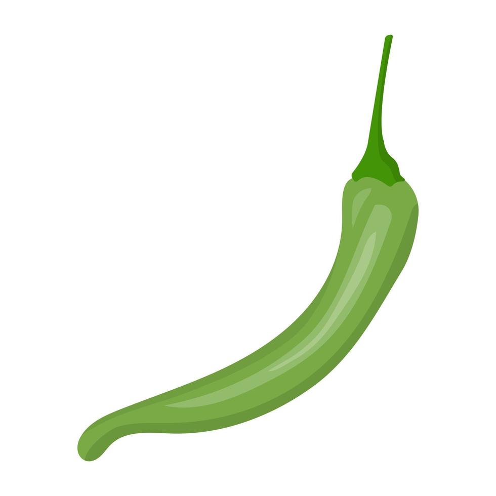 Jalapeno Pepper Concepts vector