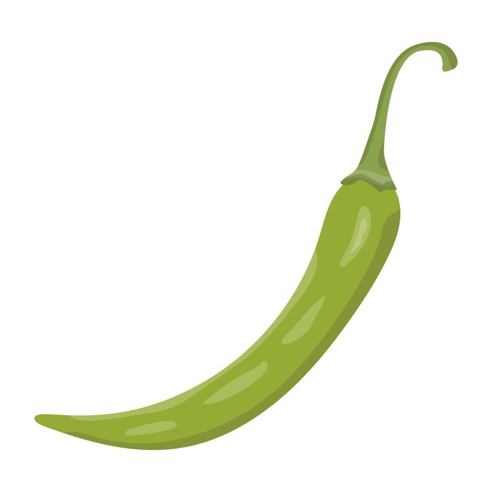 Serrano Pepper Concepts vector