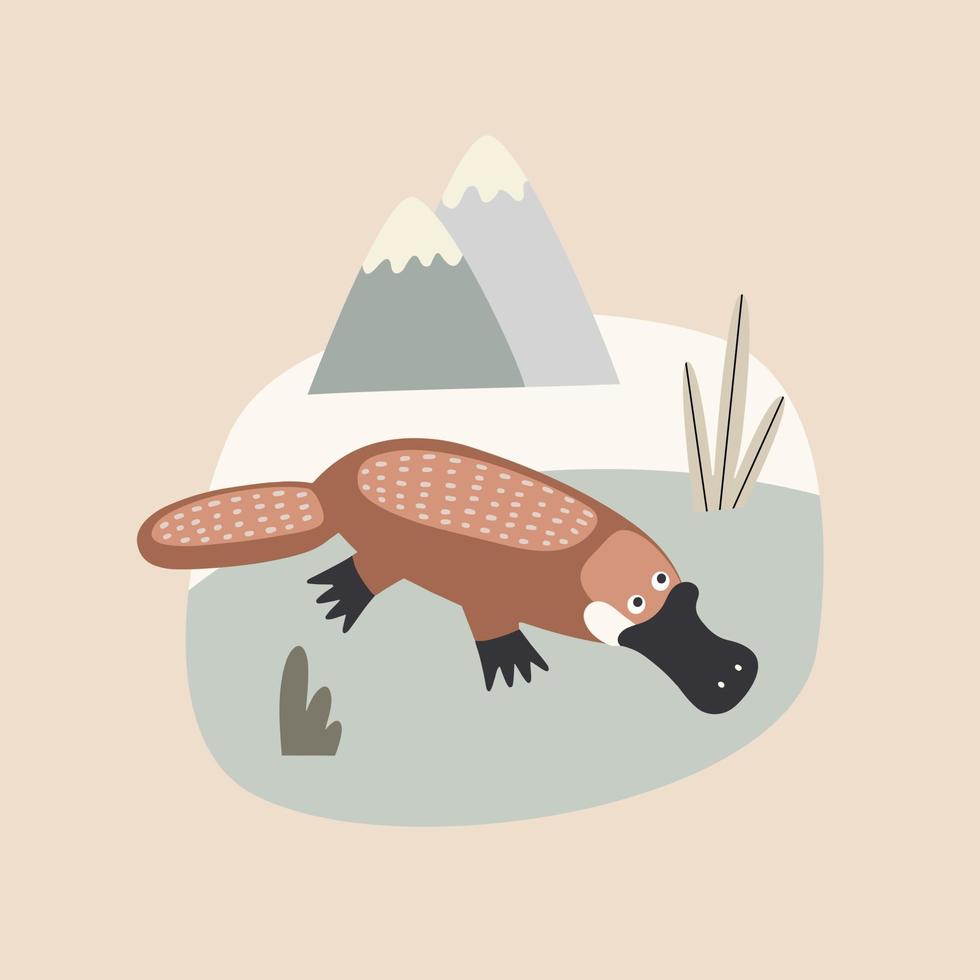 australian animal platypus near the water, vector illustration in cartoon style