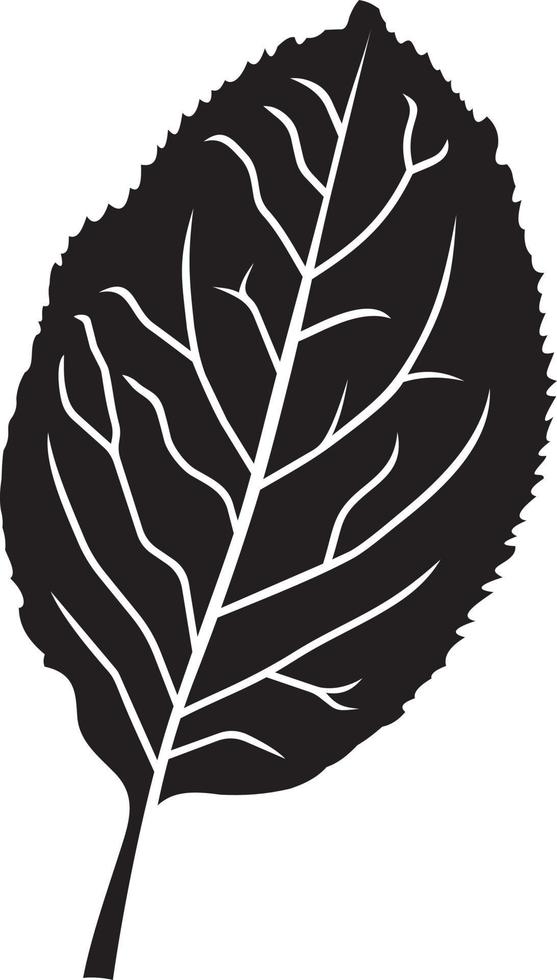 Apple leaf on white background vector