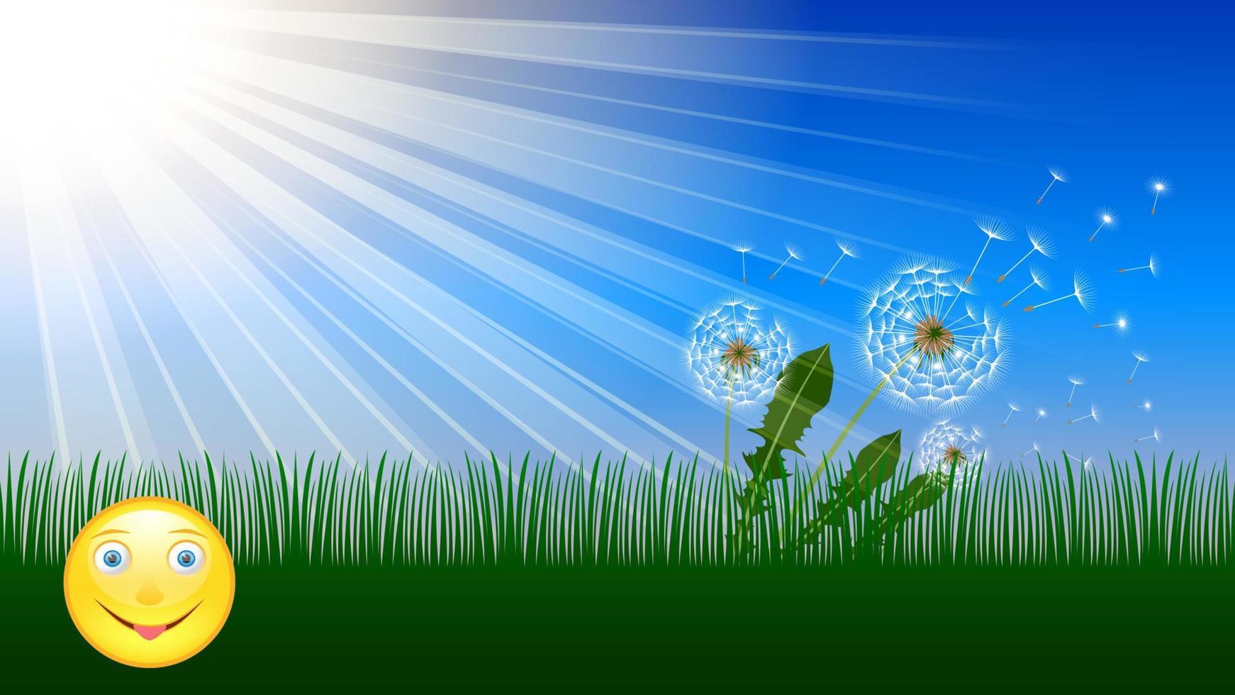 Summer time sunlight dandelion background vector