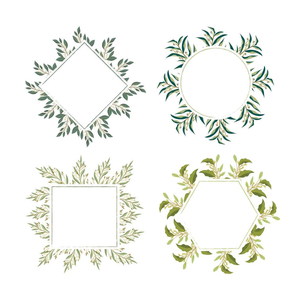 leaves border collection vector