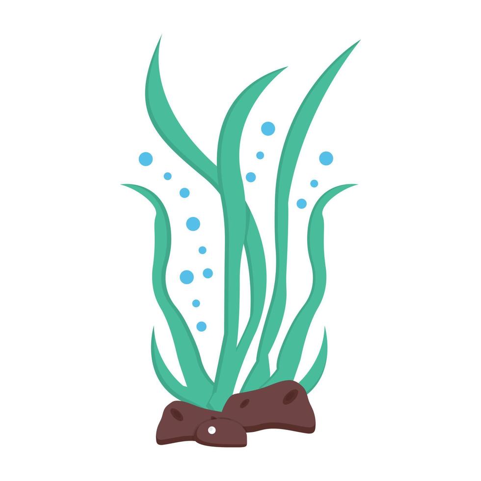 Trendy Seaweed Concepts vector