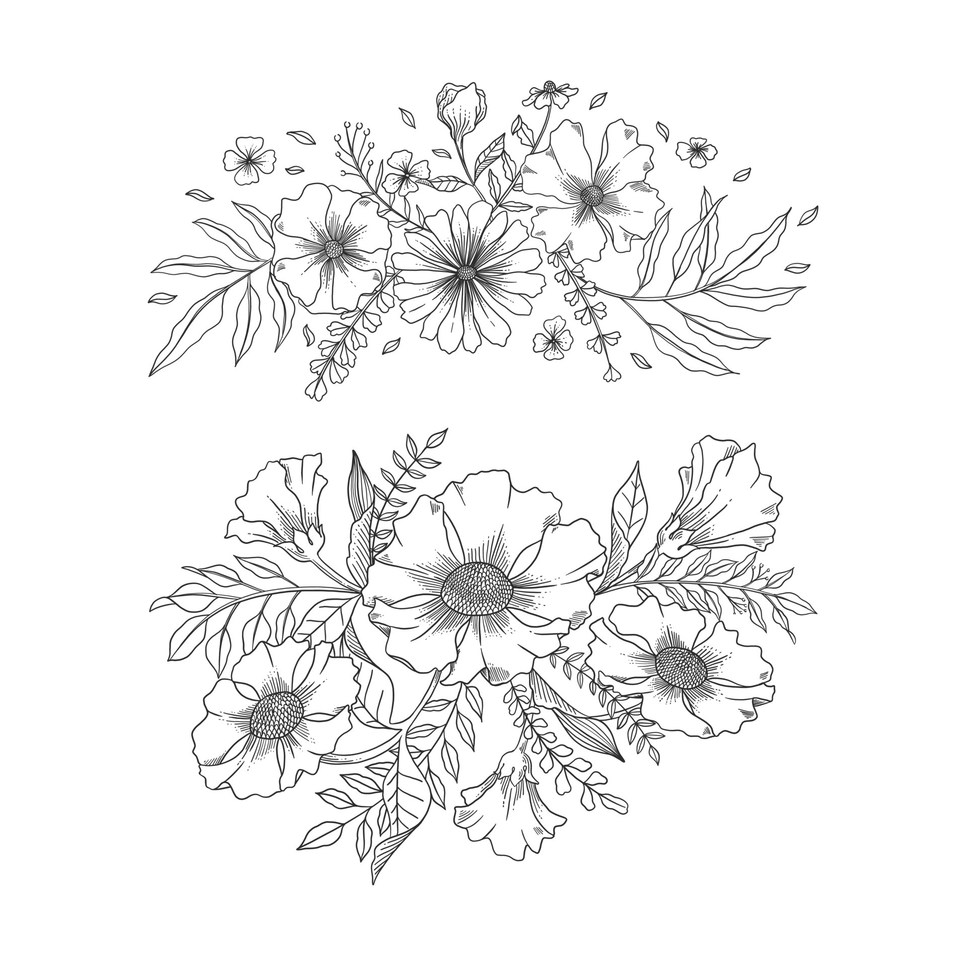 Set of hand drawn botanical elements ornamental vector 4608145 Vector ...