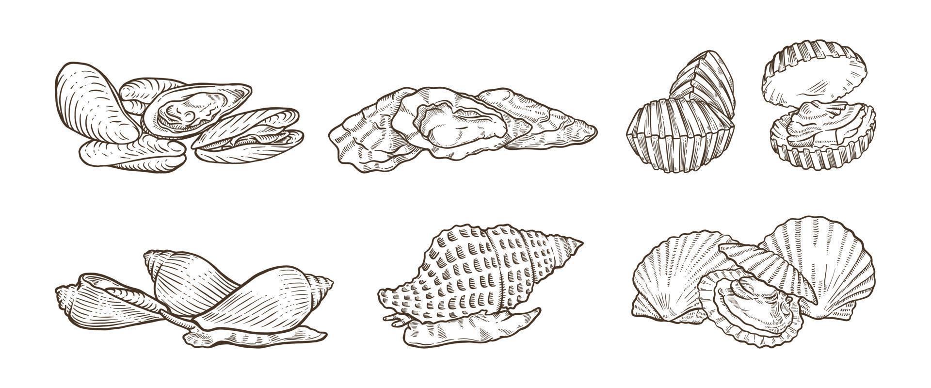 muchos tipos de ilustraciones dibujadas a mano de mariscos vector