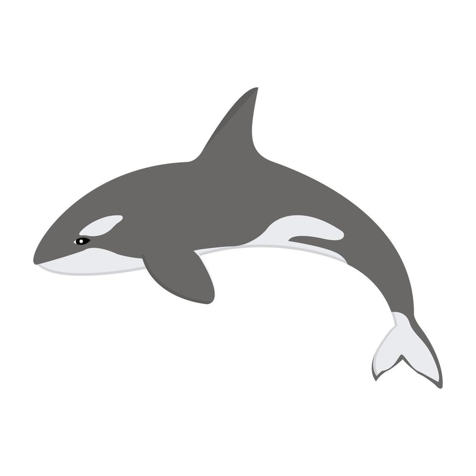 Trendy Whale Concepts vector