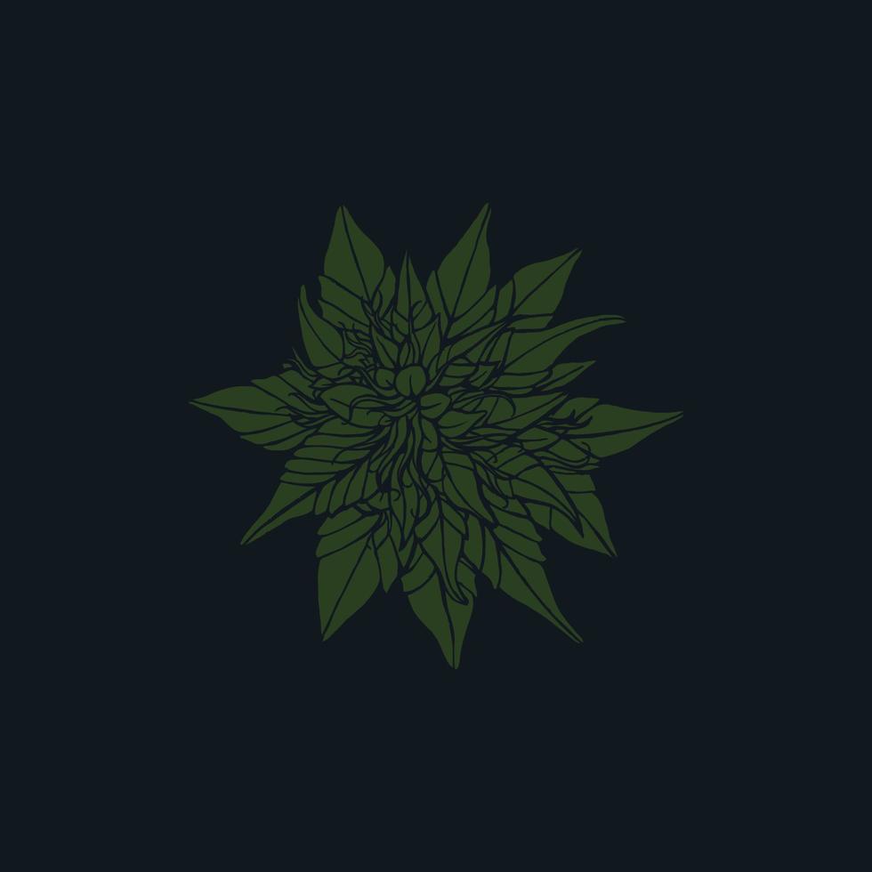 Hand Drawn Cannabis Flower best for ornament or Logo Template vector