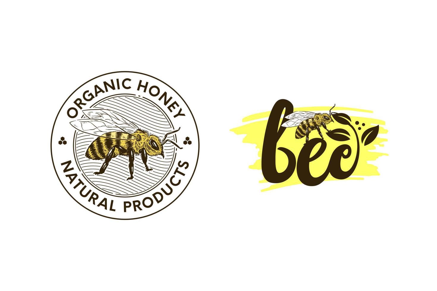 honey bee hand drawn illustration set vector