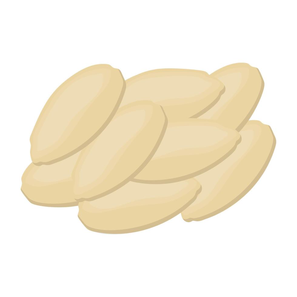 Pine Nuts Concepts vector