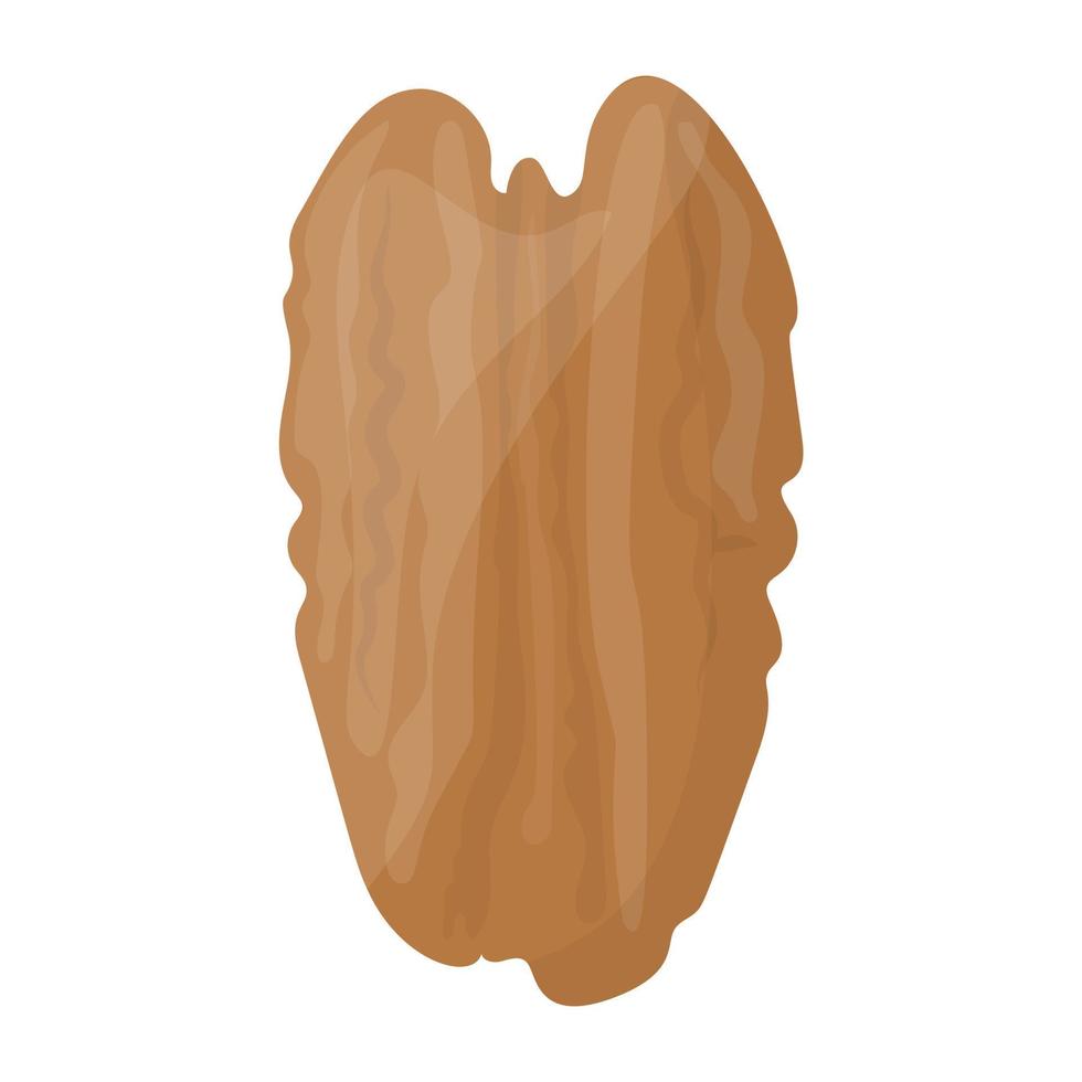 Trendy Walnut Concepts vector