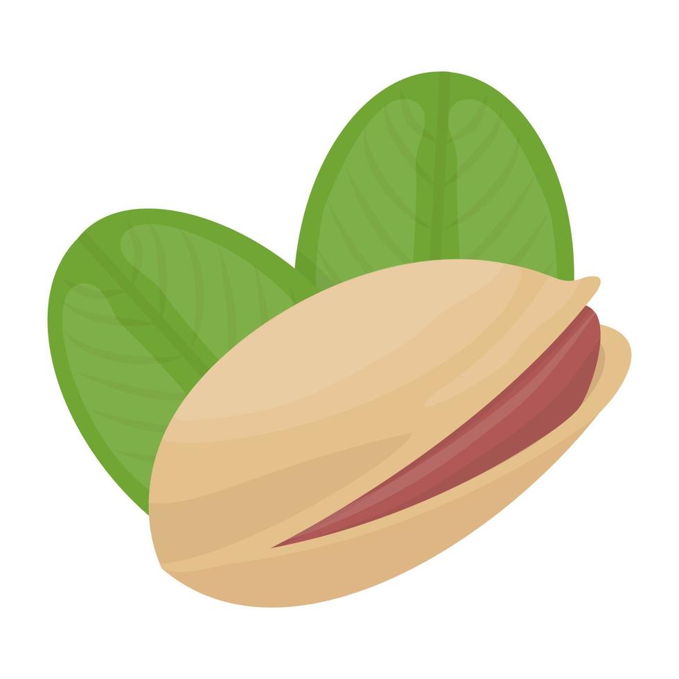 Trendy Pistachio Concepts vector