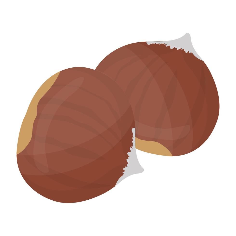 Trendy Hazelnuts Concepts vector
