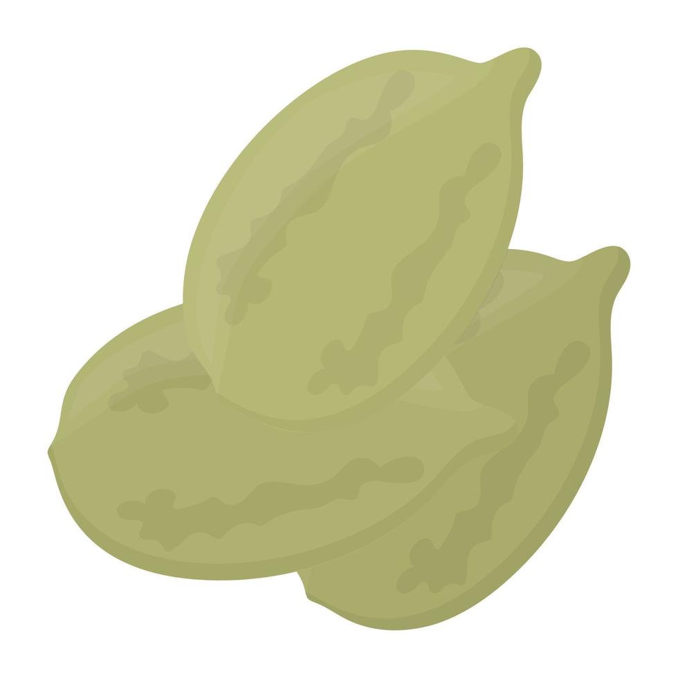Trendy Cardamom Concepts vector