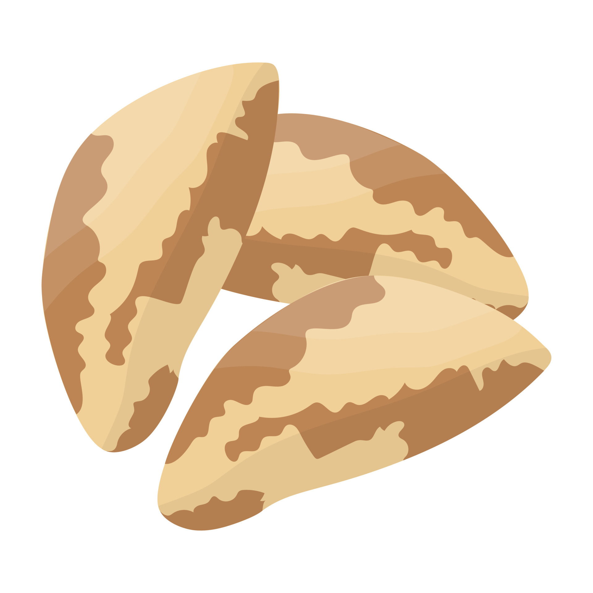 Brazil Nuts Concepts 4608653 Vector Art at Vecteezy