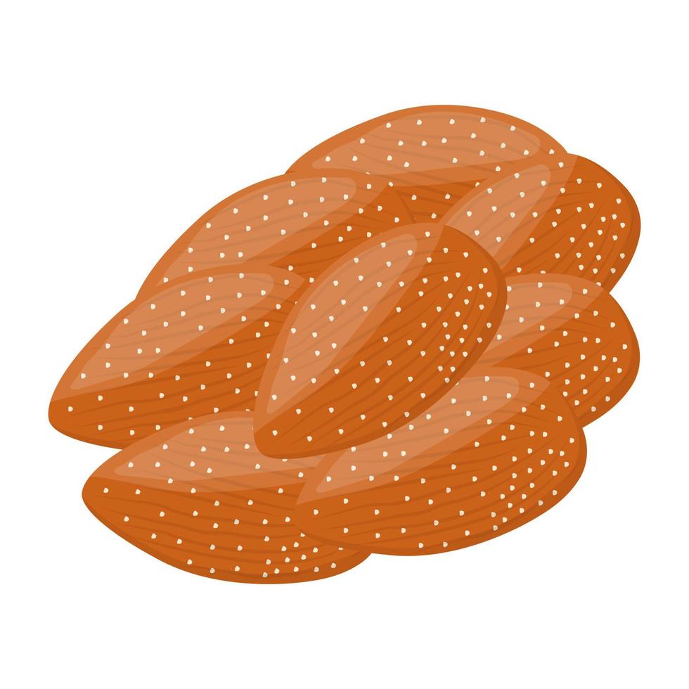 Trendy Almonds Concepts vector