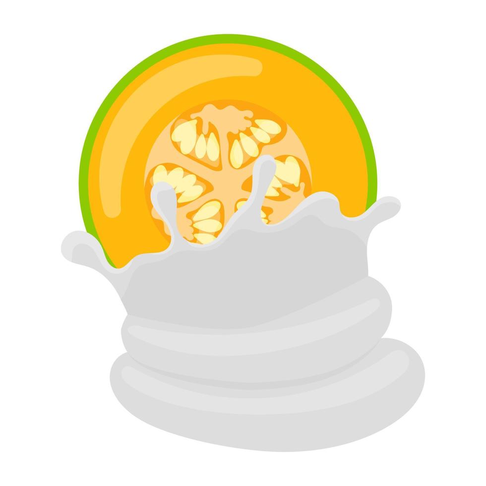 Whipped Cantaloupe Concepts vector