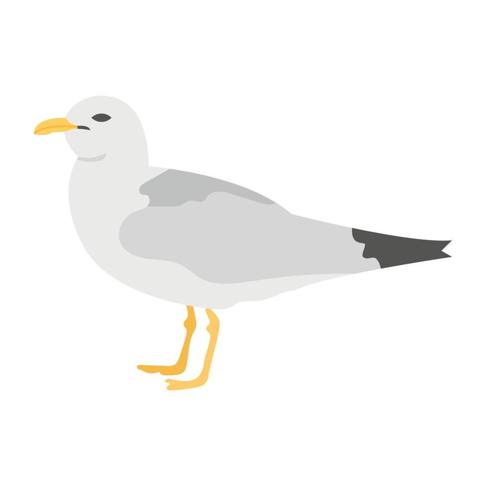 Trendy Dove  Concepts vector