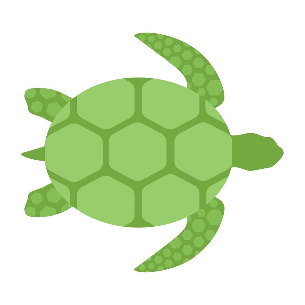 Sea Turtle Concepts vector