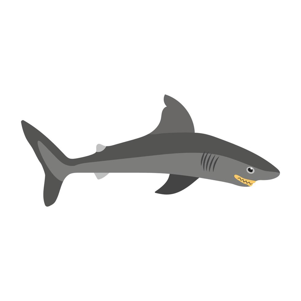 Trendy Whale Concepts vector