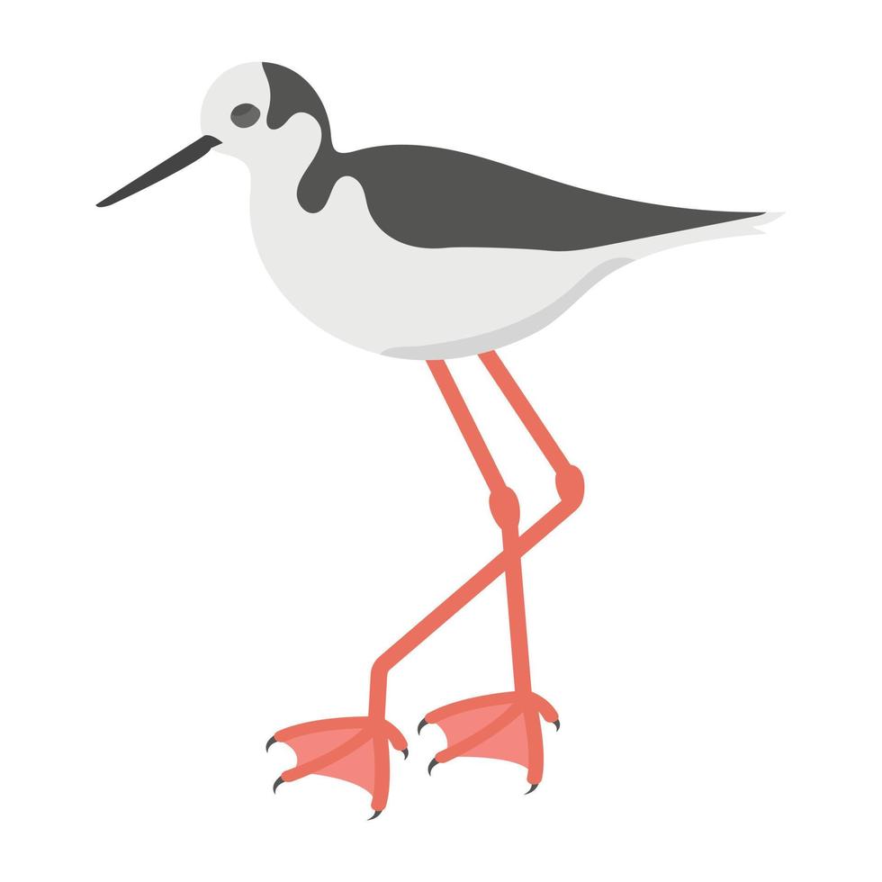 White Stork Concepts vector