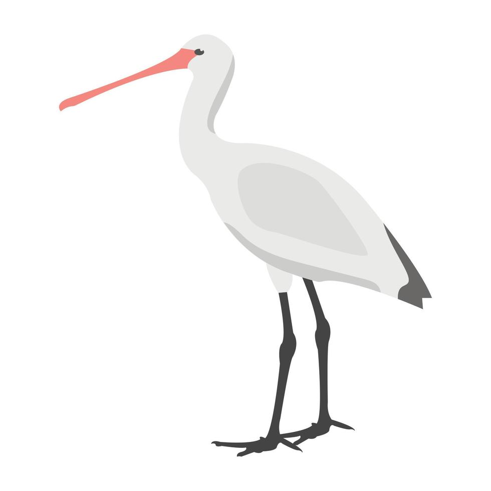 Crane Bird Conceepts vector