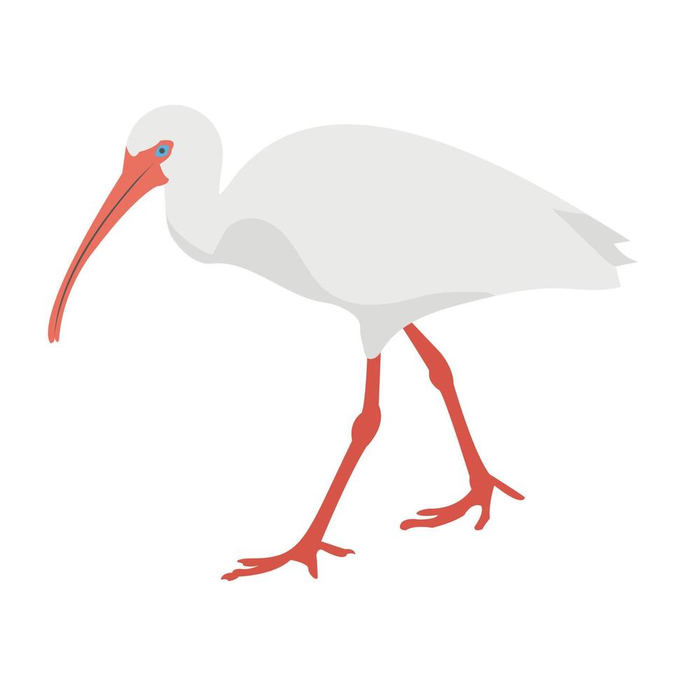 conceptos de aves de grúa vector