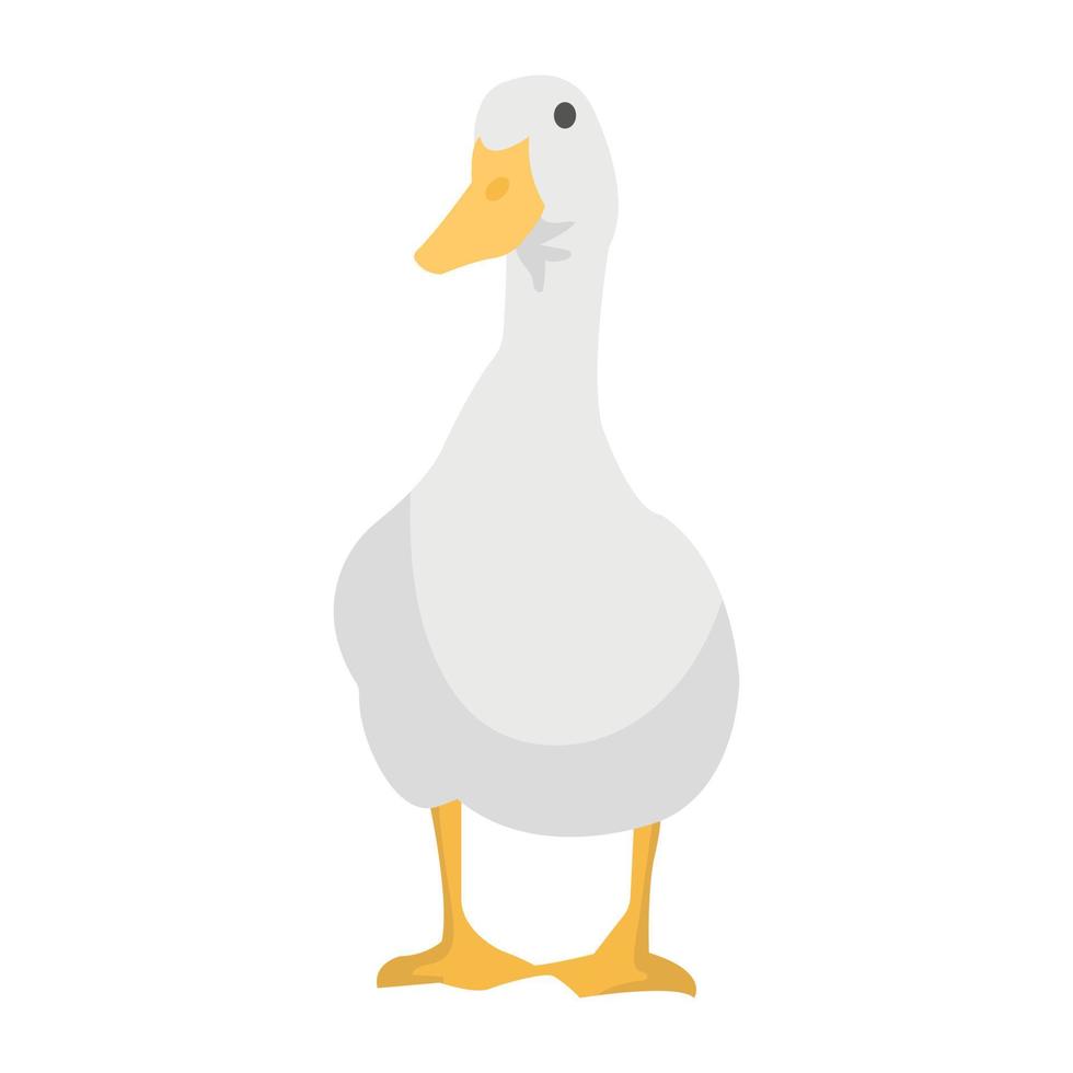 Trendy Duck Concepts vector