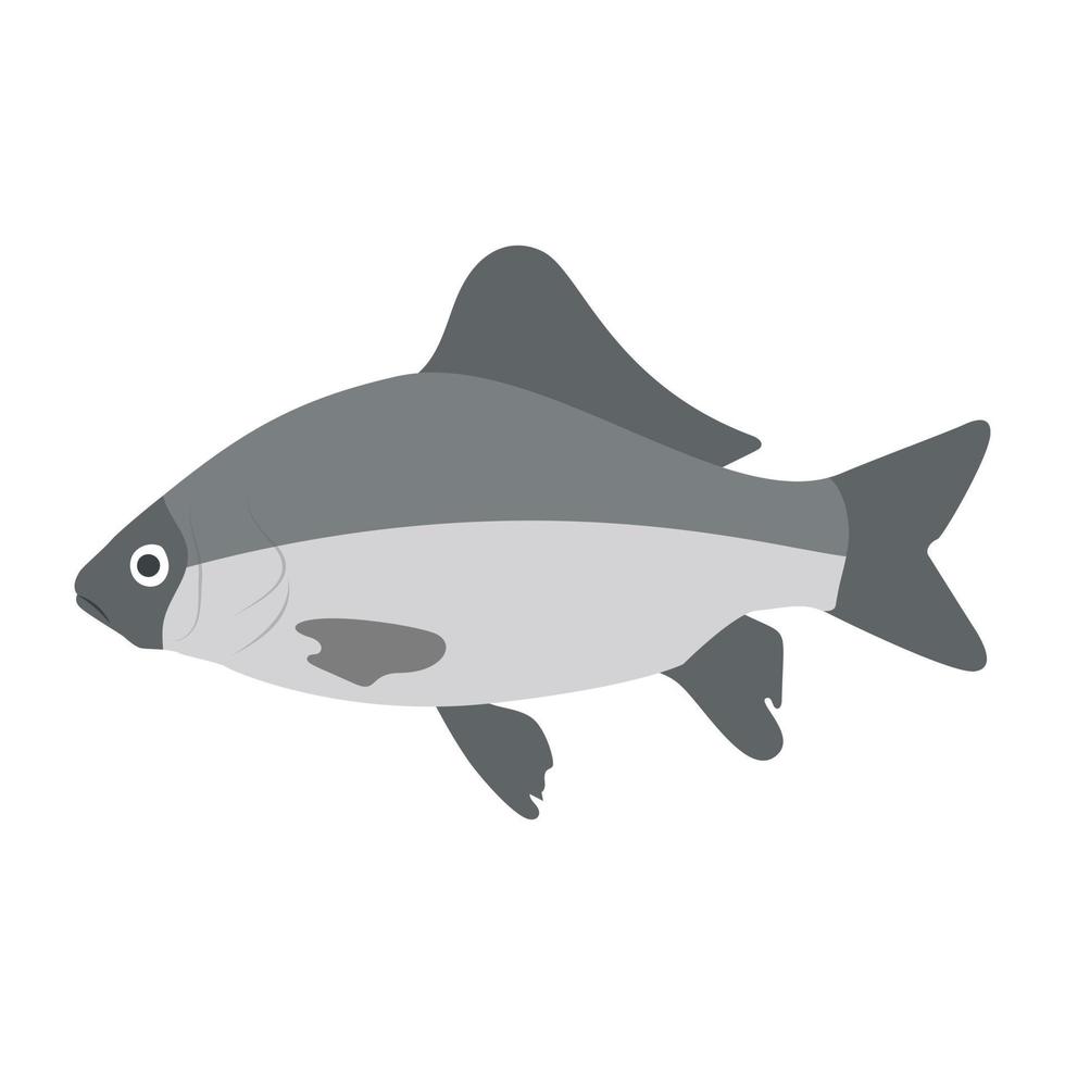 conceptos de peces acuáticos vector