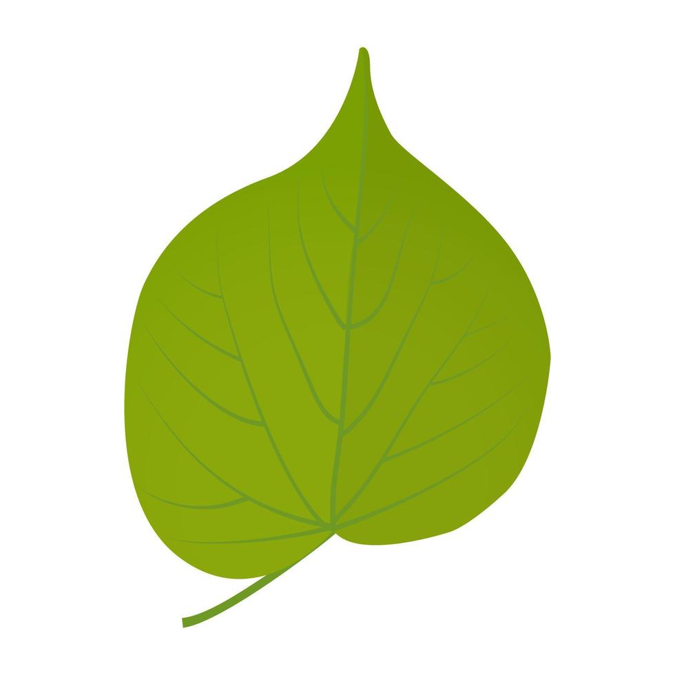 Linden Leaf Concepts vector