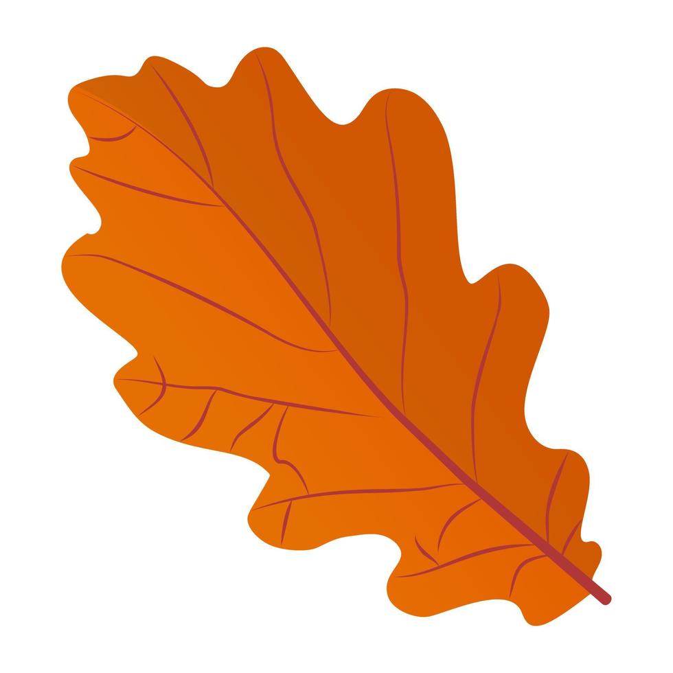 Oak Leaf Concepts vector