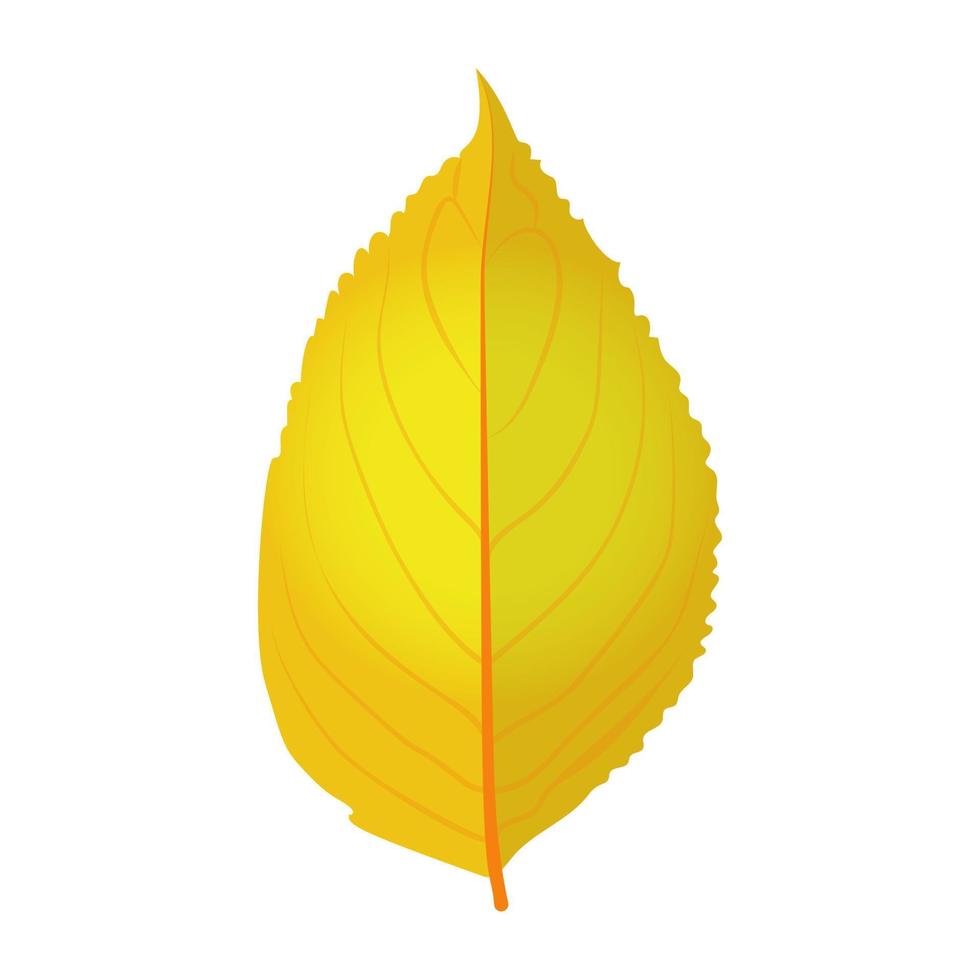 Yellow Birch Concepts vector
