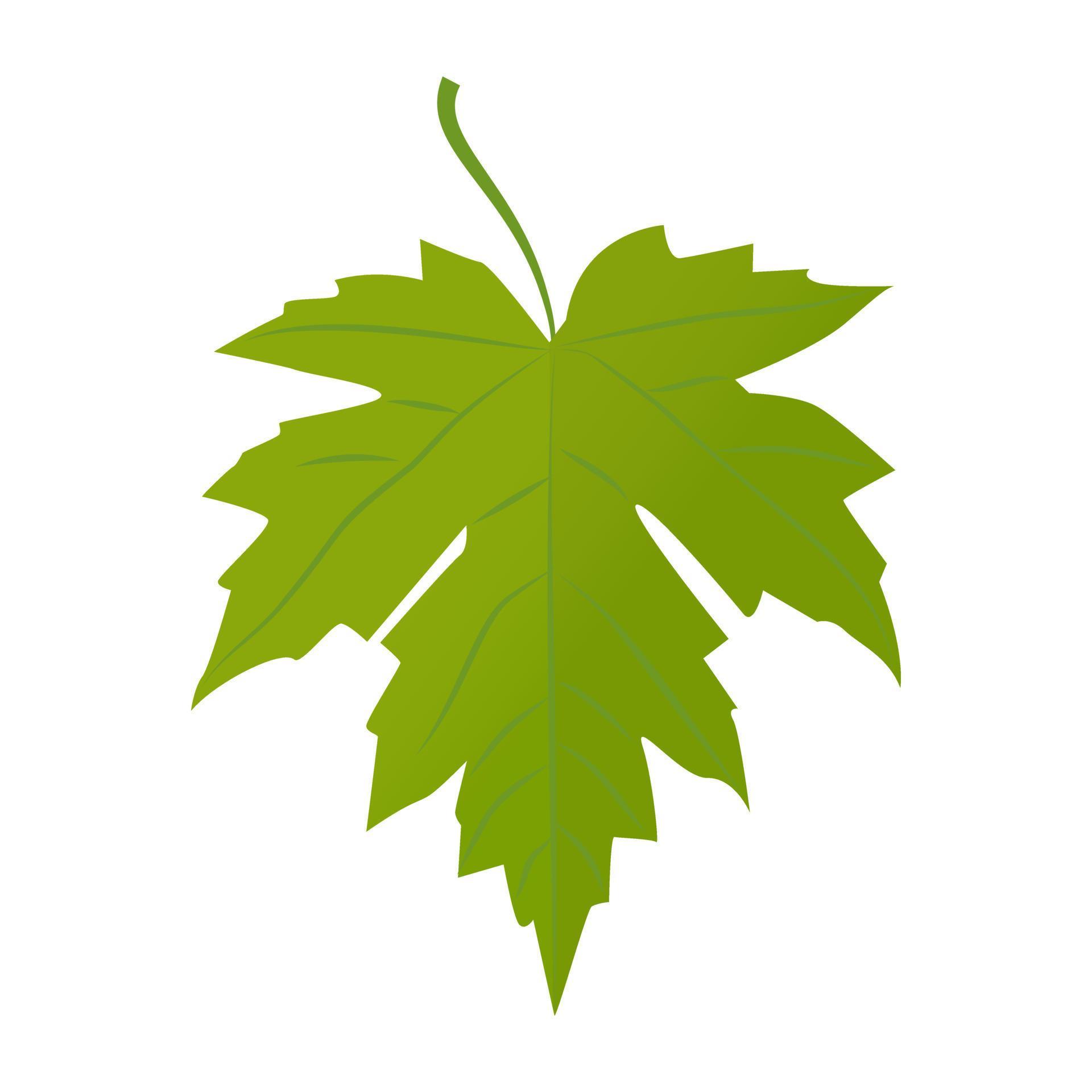 Grape Leaf Concepts 4609538 Vector Art at Vecteezy