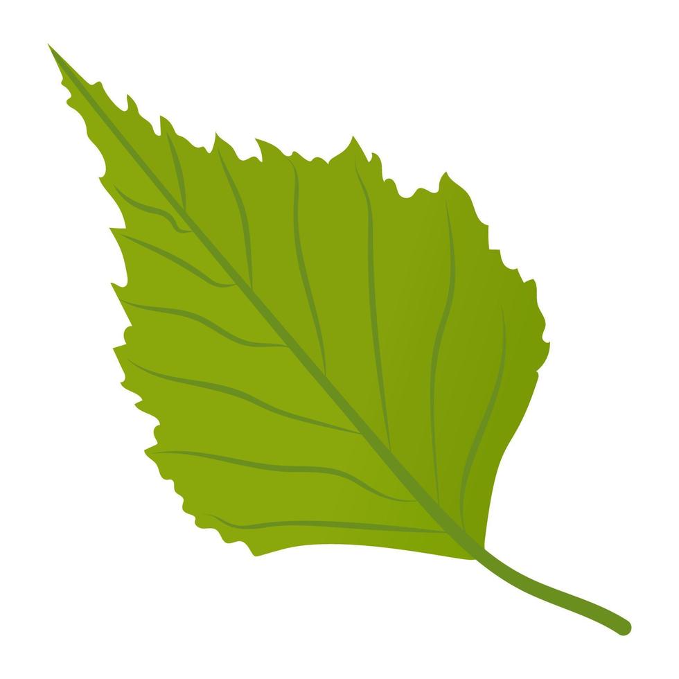 Aspen Leaf Concepts vector