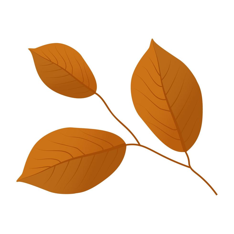 Leafy Twig Concepts vector